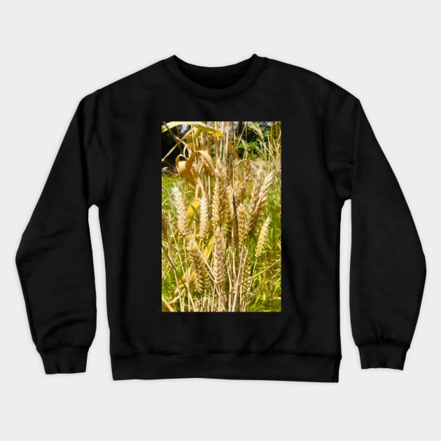 Be Generous with Wheat and Grain for the World Crewneck Sweatshirt by Photomersion